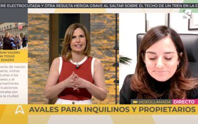 Avales para Inquilinos y Propietarios: Seguridad Jurídica en el Mercado del Alquiler